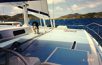 Daisy walking the deck