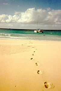 Footsteps in the sand