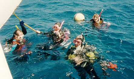 Divers in the water