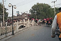 The looming bridge, Hutong, Beijing