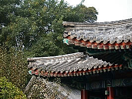 Interesting roof patterns