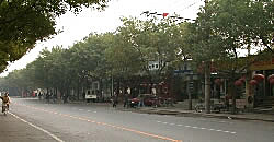 Tree lines street, Beijing