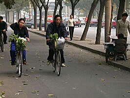 Returning from the market, Beijing