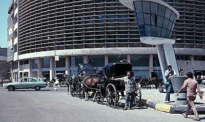 Horse drawn carriages