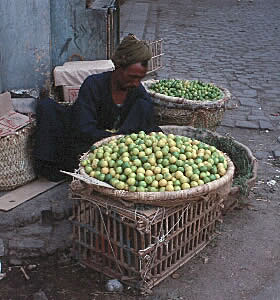 Fresh fruits