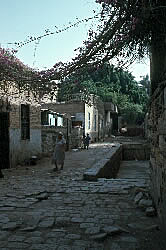 Cobble stone walkway