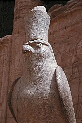 Horus close up