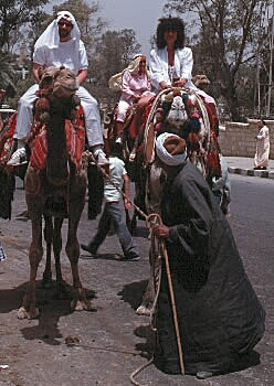 Anne and I on camels