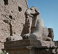 Ram's Head Sphinx