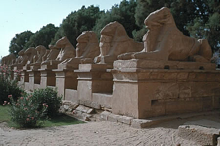 Ram's Head Sphinx
