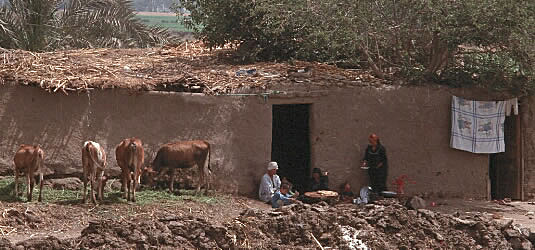 A mud brick home