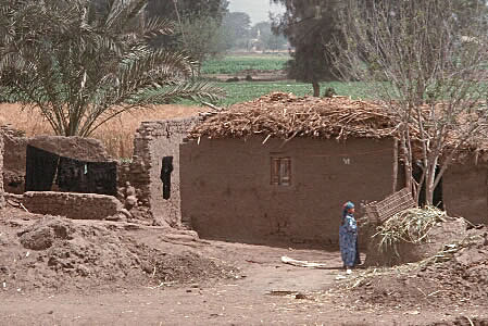 A child doing chores