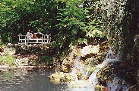 Anne enjoying the Hyatt gardens