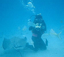 Anne video taping a stingray