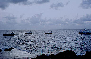 Sunset House dive boats