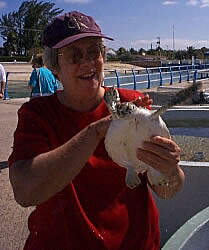 Carol Paige holding a Green Turtle