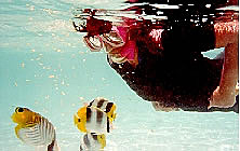 Anne looking at some Butterflys underwater