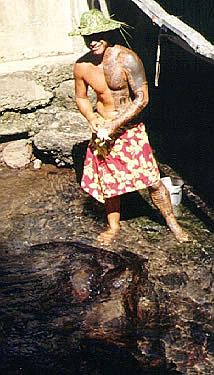 George feeding the freshwater eels