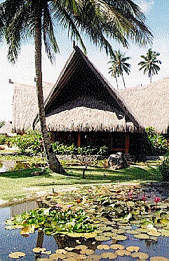 Views of the lilly pond