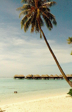 Overwater huts at the Sofitel Ia Ora