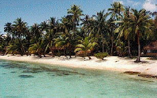 The beach at the Kia Ora Village